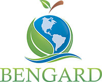 Bengard Marketing