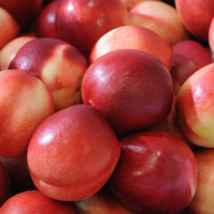 Nectarines