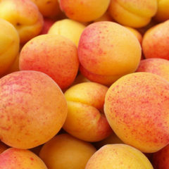 Apricots